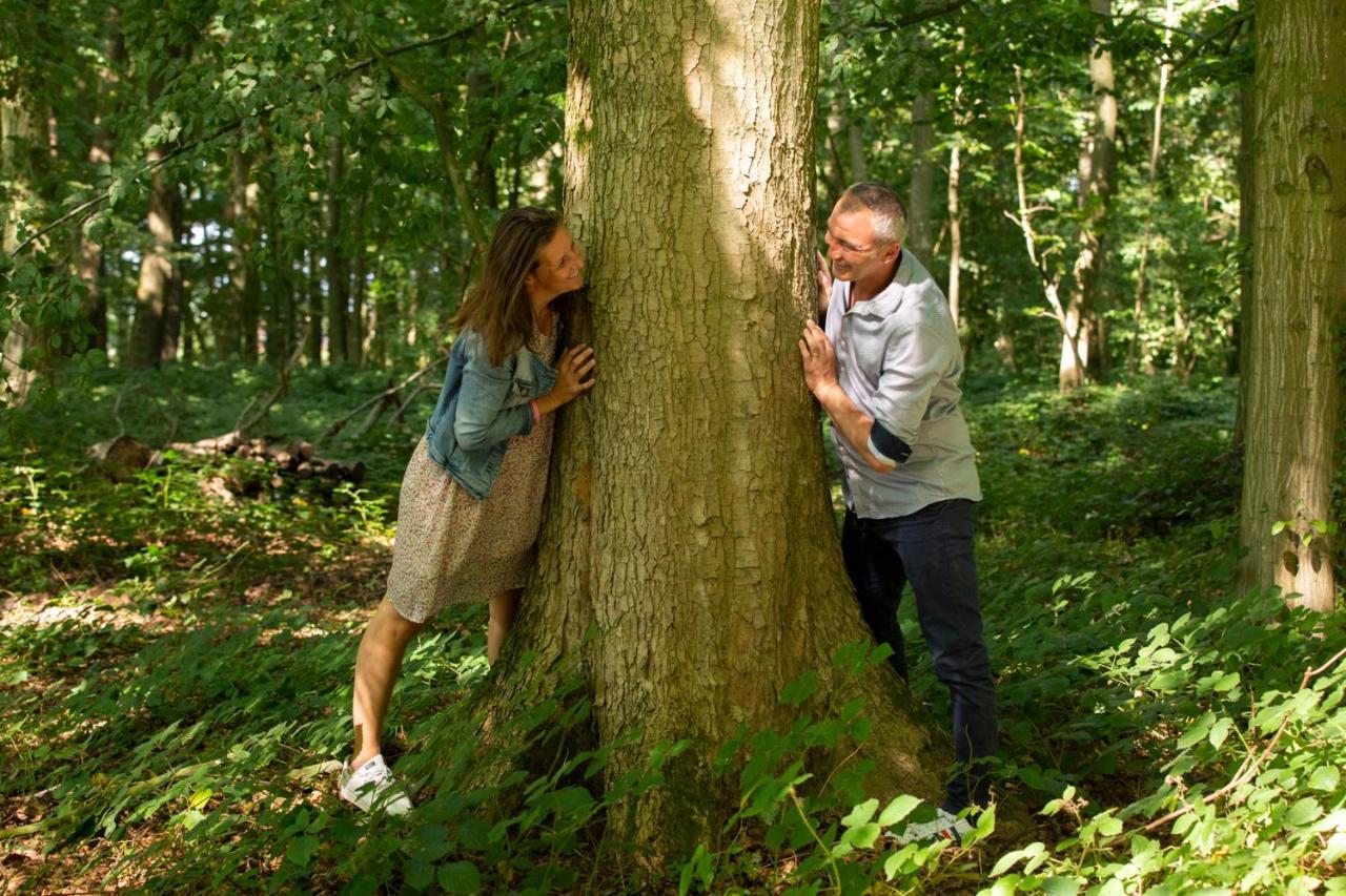 Aux Petits Lapins De Sorval, Sauna Prive, Fitness Selvigny Exterior foto
